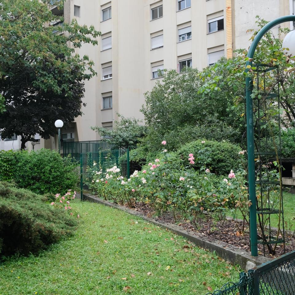 Tuteurs pour rosier